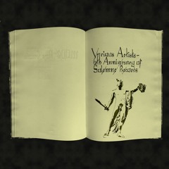 Trømmel - Dive In, Smiling (Original Mixl) / Solemne Records