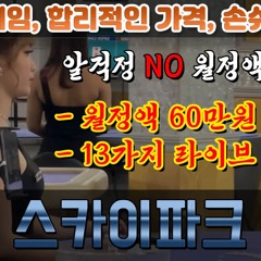 라이브 카지노솔루션 api 월정액O 방식 알방식X