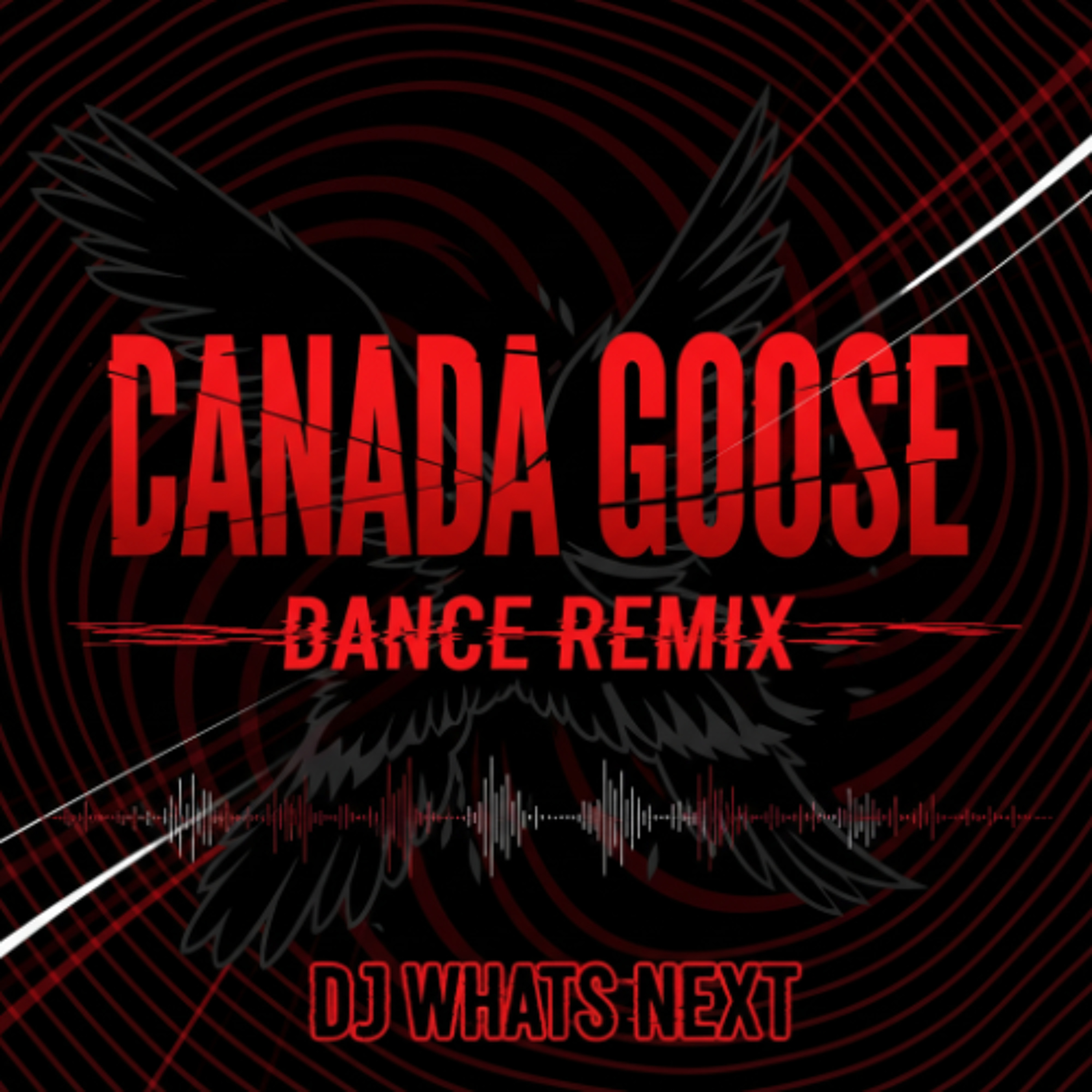 CANADA GOOSE (DANCE REMIX) (DJ WhatsNext Edit) (Dirty)