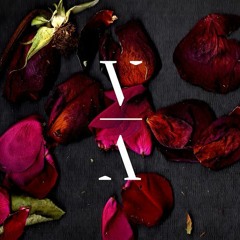 Lane 8 - Live Stream (April 11)