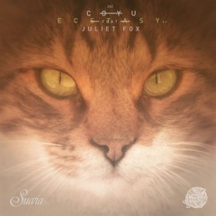 Suara 2