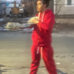 fiji1jay - Arkham knight [slipbrick exclusive]