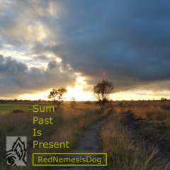 Sum Past Is Present
