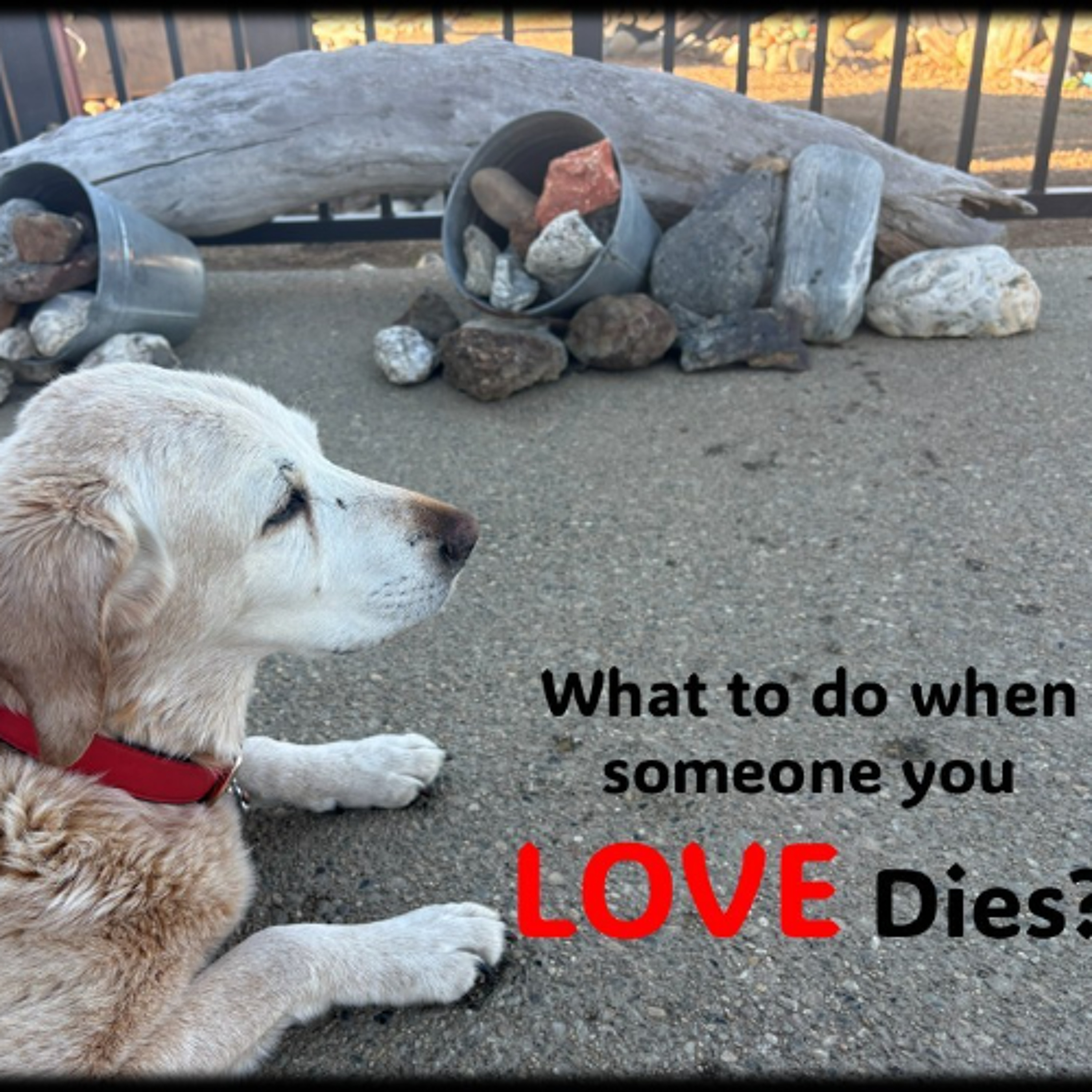 Someone You LOVE Dies…What to do