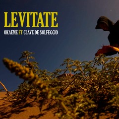 Levitate - Okaeme Ft Clave De Solfeggio 2023 (Beat Levi Two)