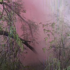 SVVENIR w/ Amanita & Minou Oram (17/04/2025)