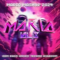 MARIO MASHUP 2024 Vol.8 (BASSHOUSE & BIGROOM TECHNO)