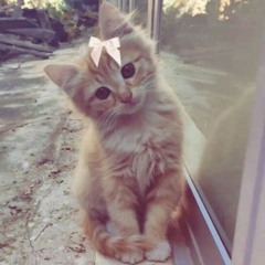 Everything - Luluyam ☆