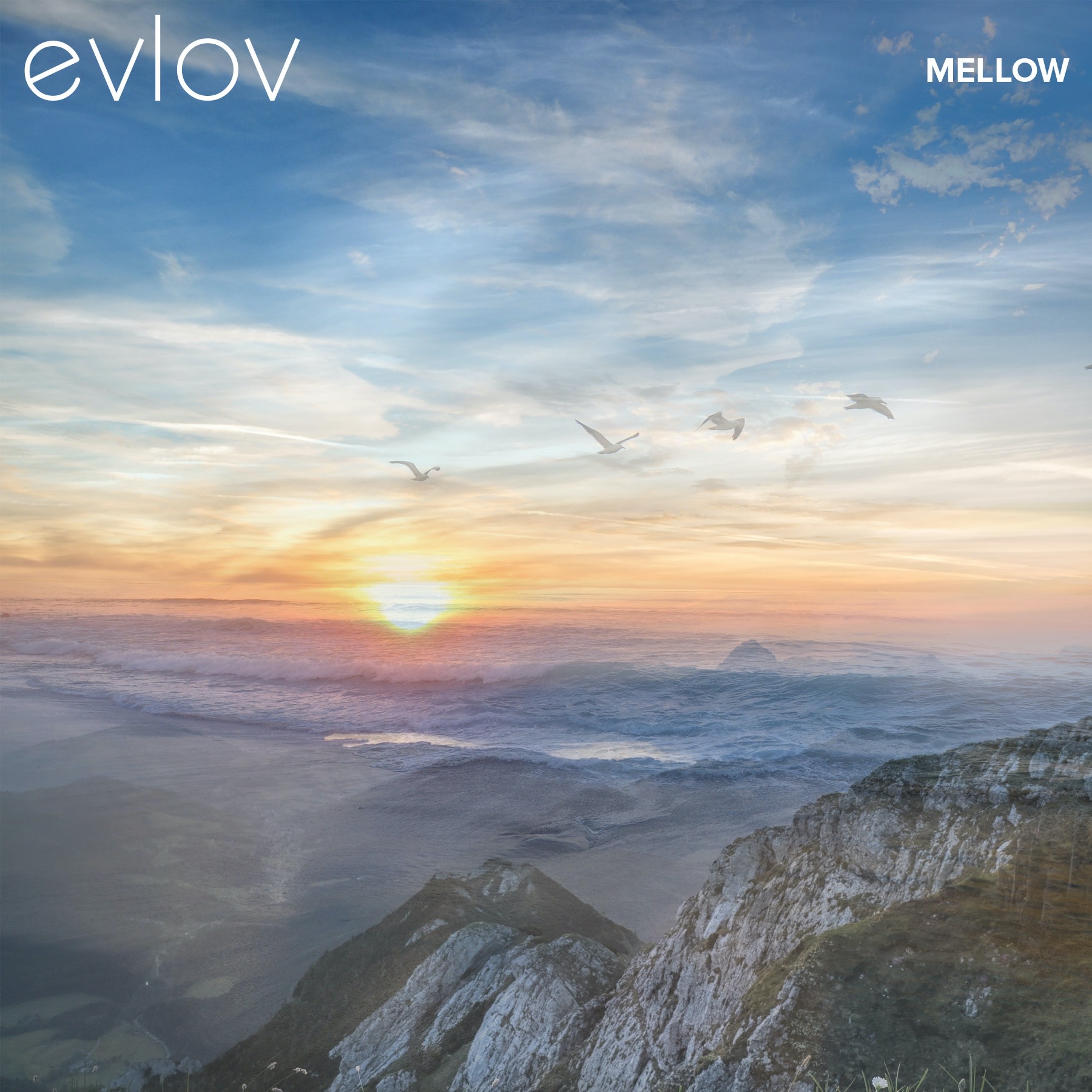 Evlov Music - A Sonic Journey