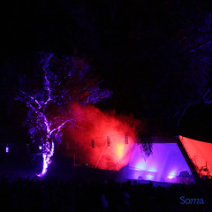 Miscmeg at Soma Festival 2024