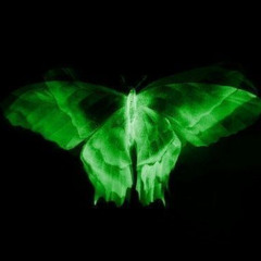 WHERE HAVE YOU BEEN (TRAP SOUL EDIT) - KOSST