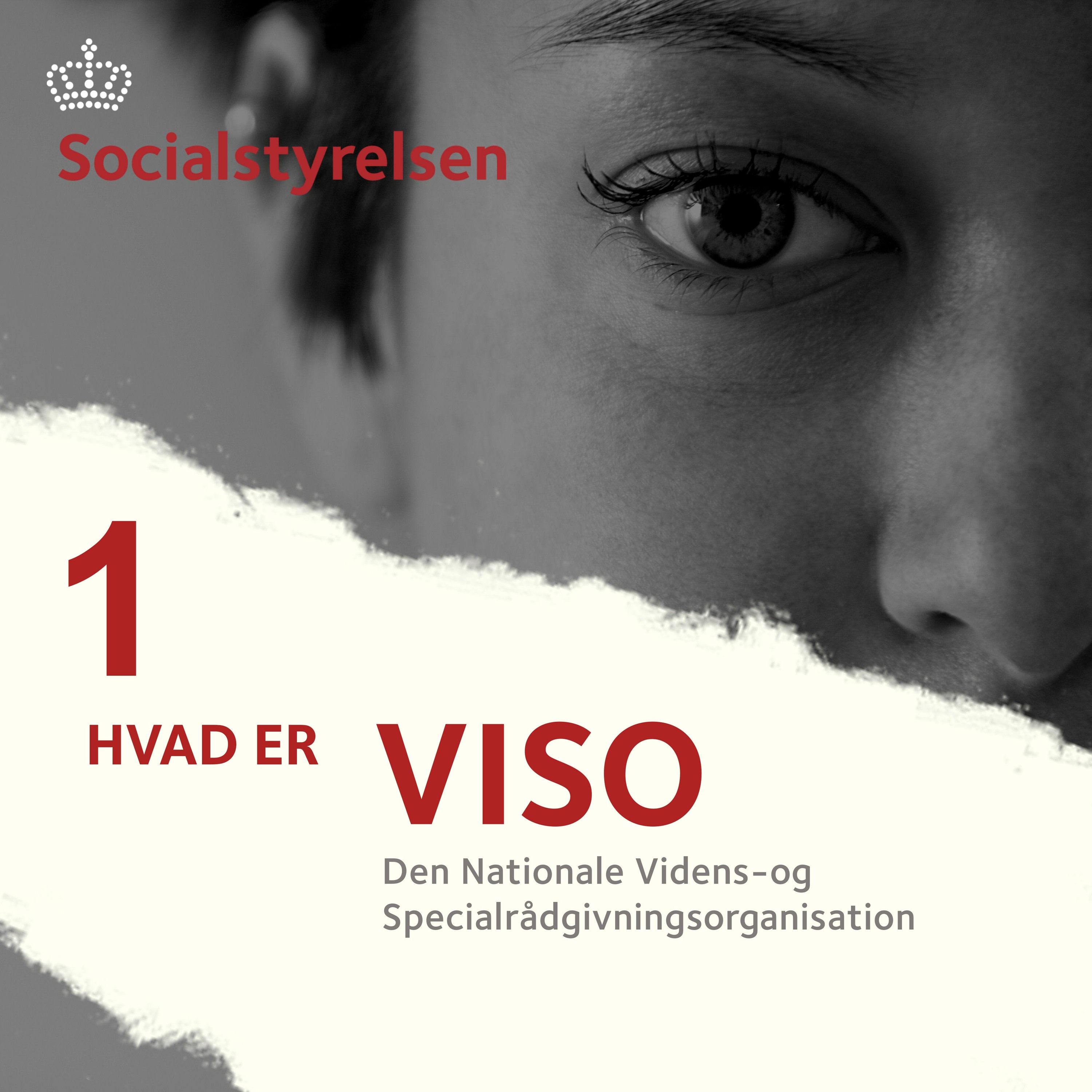 Social- og Boligstyrelsen
