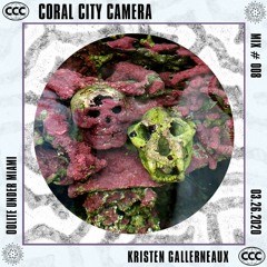 Oolite Under Miami by Kristen Gallerneaux - Coral City Camera Mix #008