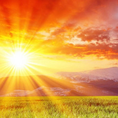 Everything Under The Sun