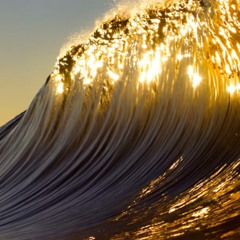 Adult Swim Bump Golden Waves - Abstract Ent