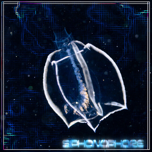 siphonophore [FREE DL]