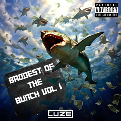 LUZE - Baddest Of The Bunch Vol 1