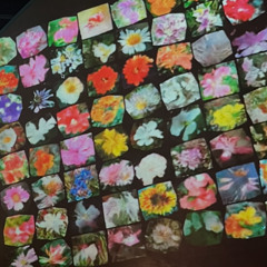 a speedcar named desire