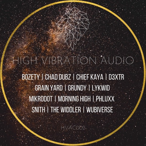 PREMIERE | The Widdler - Chillum [High Vibration Audio]