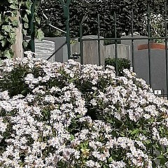 BOTTENPARK