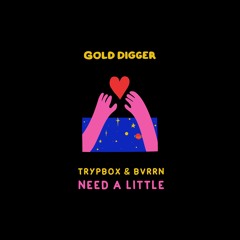 TRYPBOX & BVRRN - Need A Little [Gold Digger]
