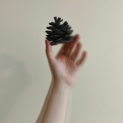 Falling pines