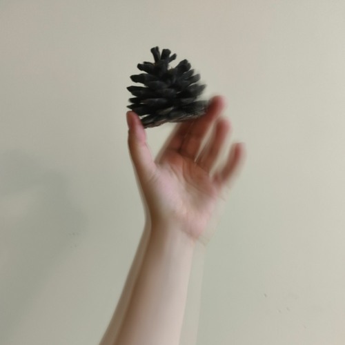 Falling pines