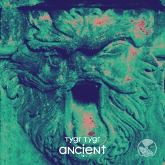 TYGR TYGR - Ancient (Technodisco Remix)