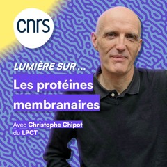 Lumière sur... Les protéines membranaires