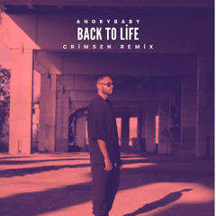 Angrybaby - Back to Life (Crimsen Remix) [Free Download]