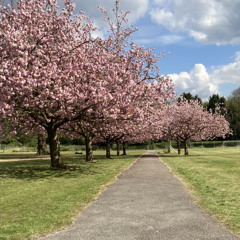 Kick Back (feat. George Hilliam)