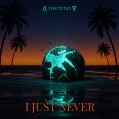 I Just Never (Disco House / House)