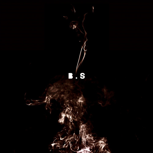 B.S