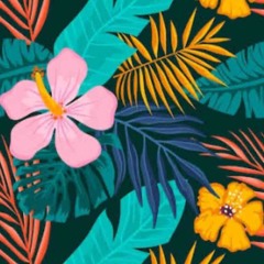 Tropical holiday