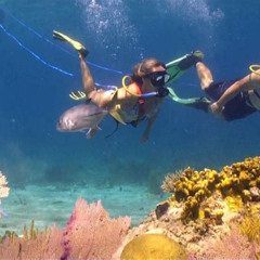 Review Special Price Snuba Adventure At Coral World Ocean Park