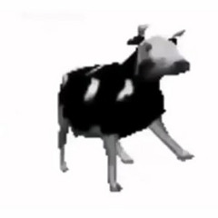 cow