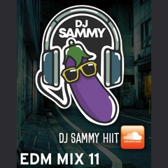 DJ SAMMY D EDM MIX 11