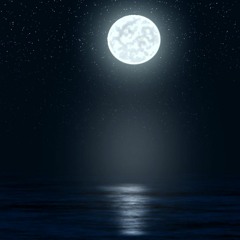 Moonlight Express