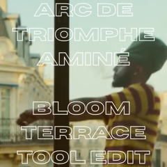 Arc De Triomphe - Aminè - (Bloom Terrace Tool Edit)