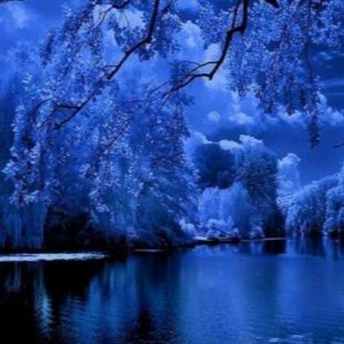 might give up (donk)