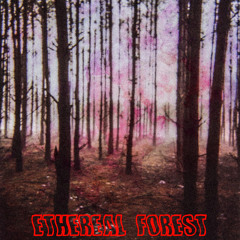 ETHEREAL FOREST