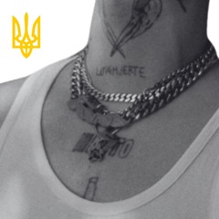 Destiny _ Забувати мушу (MRD REMIX)