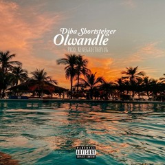 Diba Shortsteiger - Olwandle .mp3