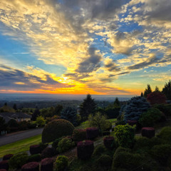 With Me - By Elementry