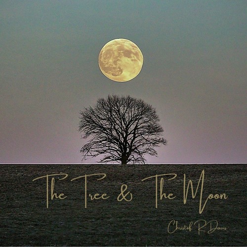 The Tree & The Moon (feat. Jono Wright & DoubleSharp Productions String Quartet)