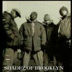 Shadez Of Brooklyn - The Set Up