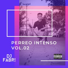 Perreo Intenso Vol.02 By DjFabri