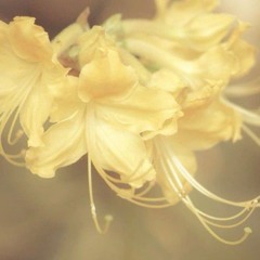 🌺🫀🌄📚📖✨