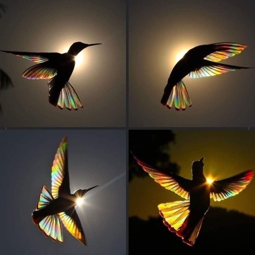 Bow (prod. izzymadeitt)