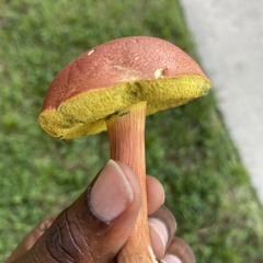 Hit Workout 🏋️‍♀️